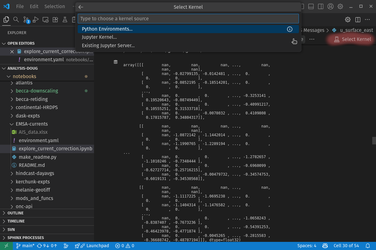 VS Code Jupyter kernel selection